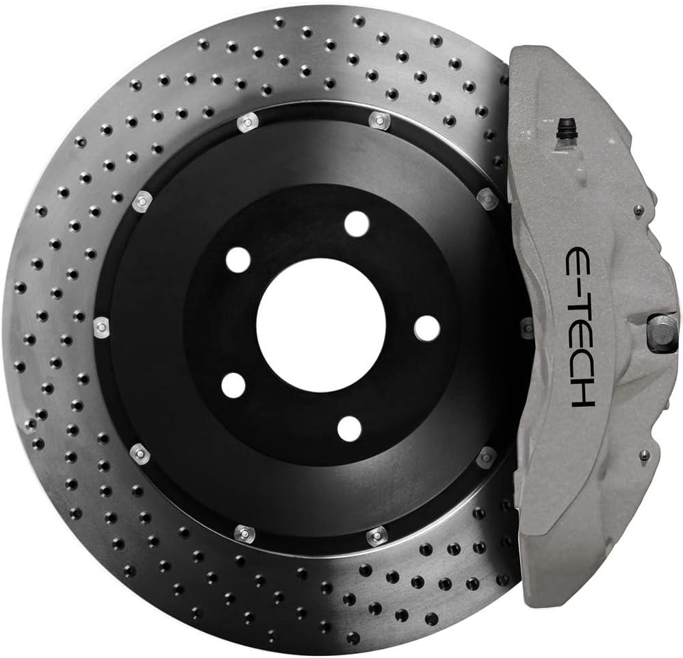 E-TECH CALIPER PAINT - SILVER