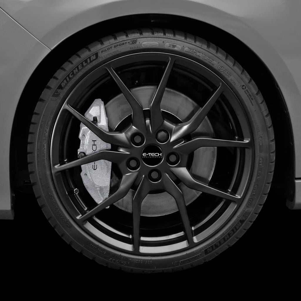 E-TECH CALIPER PAINT - SILVER