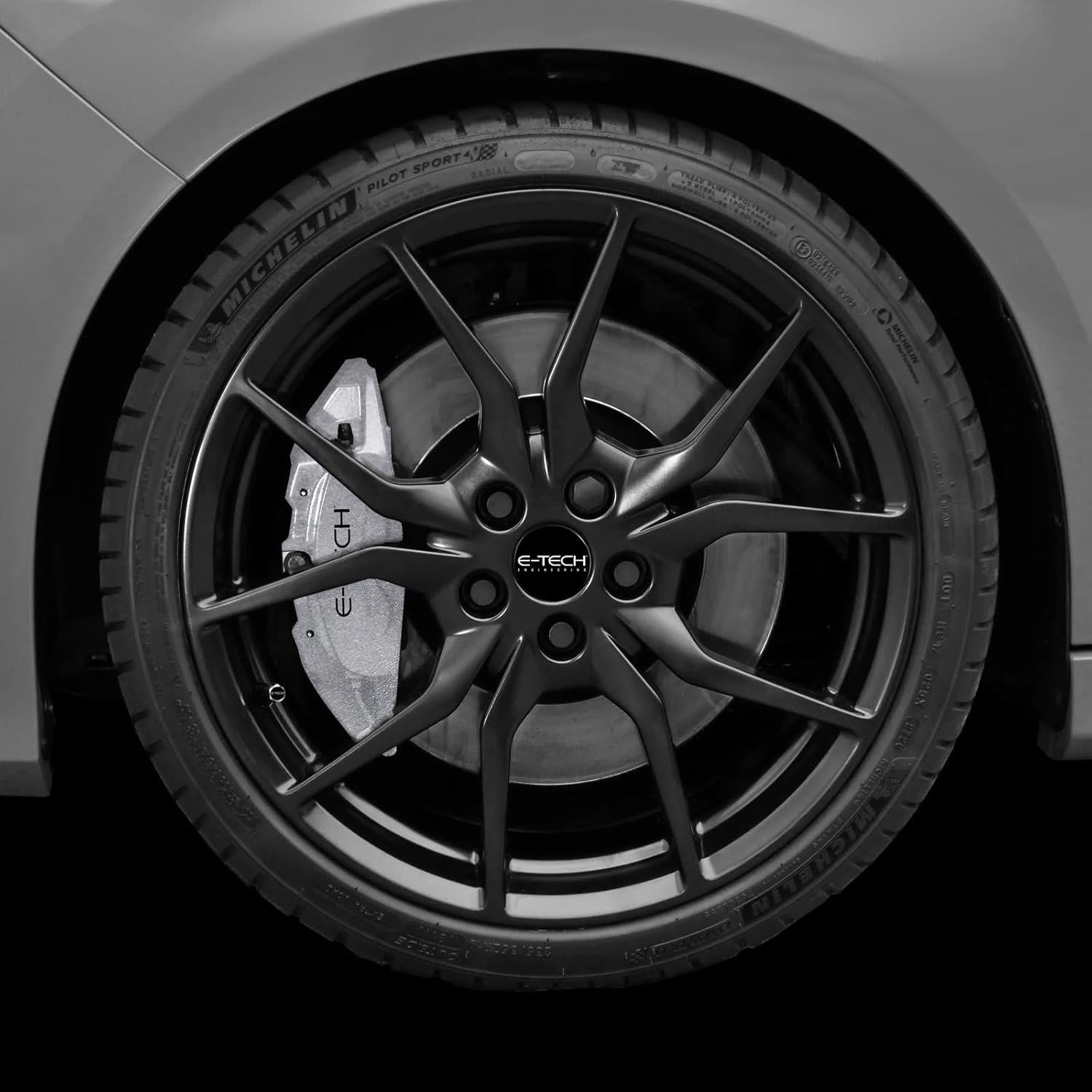 E-TECH CALIPER PAINT - SILVER
