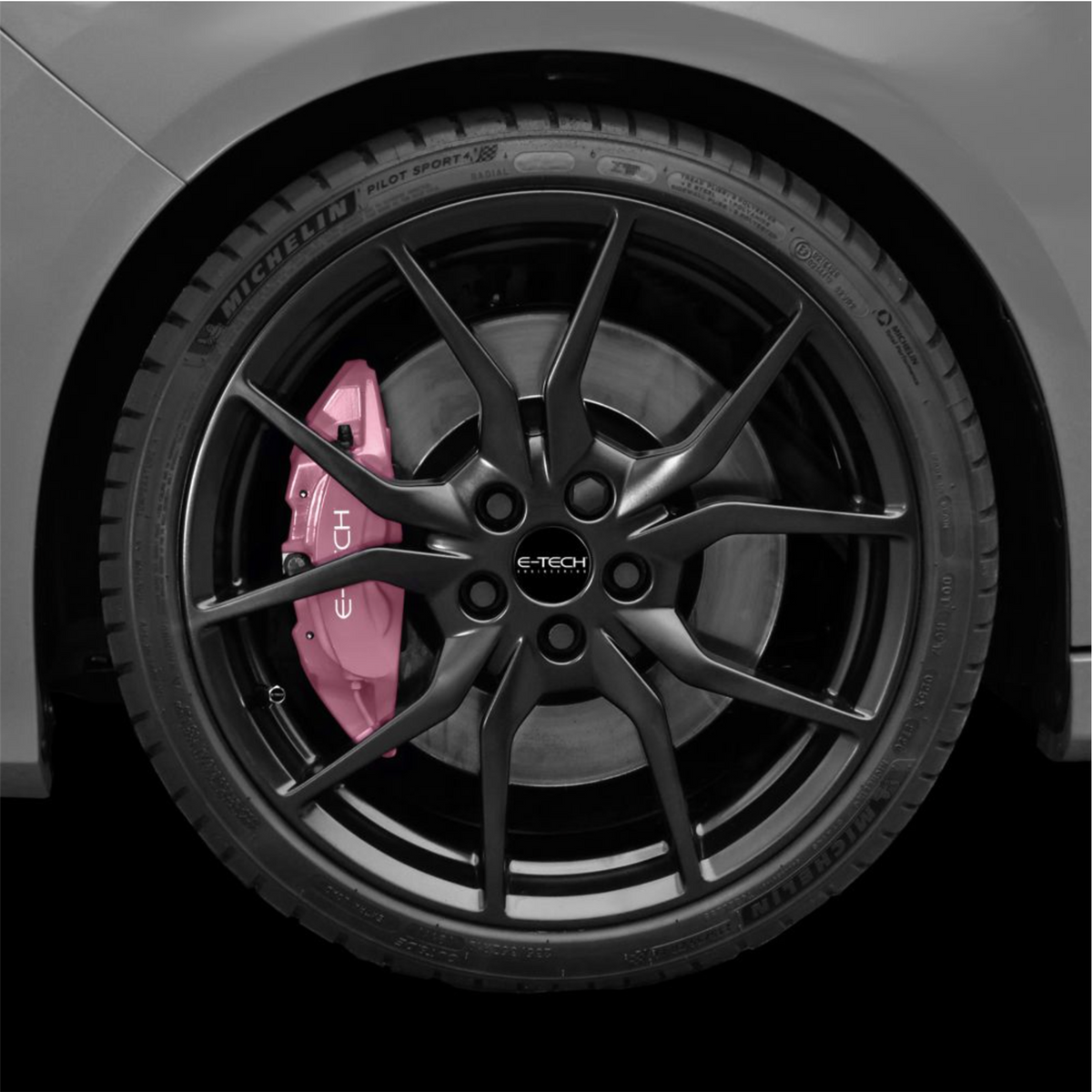 E-TECH PINK CALIPER PAINT